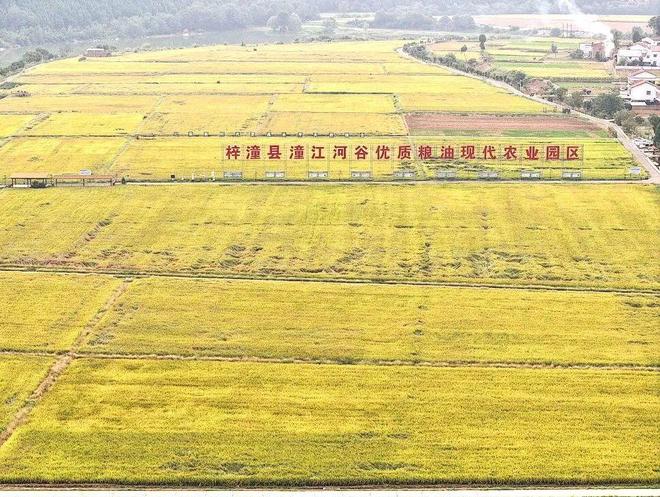 光！许州串串+串串香才是千年古县的“舌尖王牌”麻将胡了2试玩青睐绵阳 ‖ 梓潼人私藏清单曝(图8)