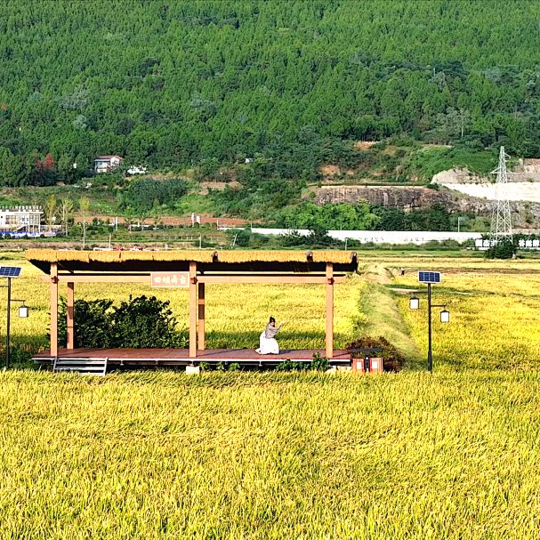 光！许州串串+串串香才是千年古县的“舌尖王牌”麻将胡了2试玩青睐绵阳 ‖ 梓潼人私藏清单曝(图5)