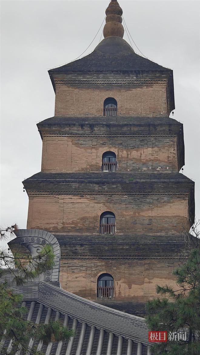 长蘑菇大雁塔受潮城墙布满青苔气象局解释成因PG电子麻将胡了西安连续一个多月降雨遍地(图5)